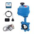 RS-080-3-MK6 Water Main Shut-Off and Alarm, Wired, 3'' Flange Mount Butte